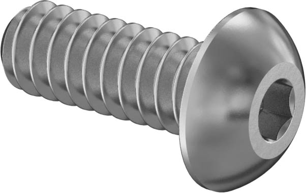 Stainless Steel Button Head Hex Drive Screw 2