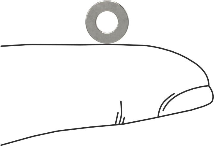 Stainless Steel Washer 3